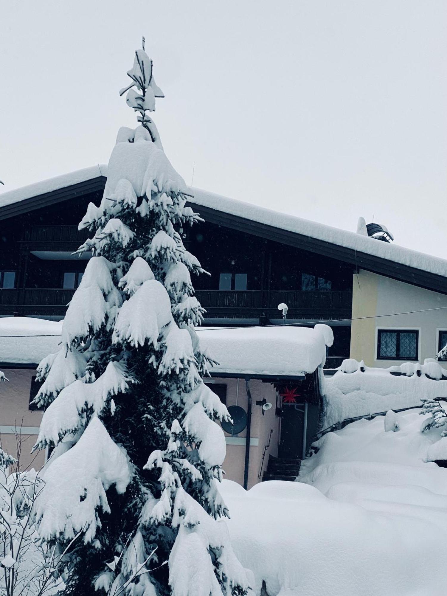 Appartementhaus Hochkoenig - Panoramablick Mühlbach am Hochkönig 외부 사진