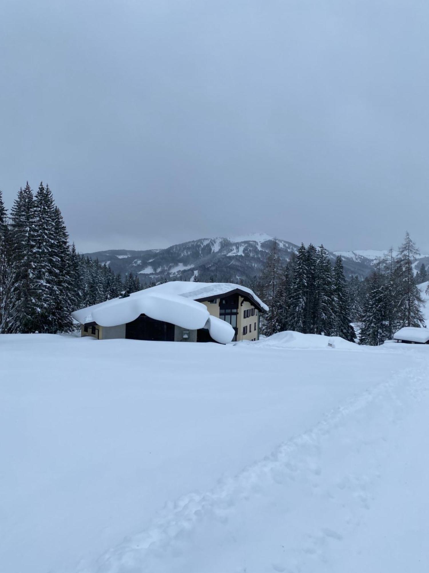 Appartementhaus Hochkoenig - Panoramablick Mühlbach am Hochkönig 외부 사진