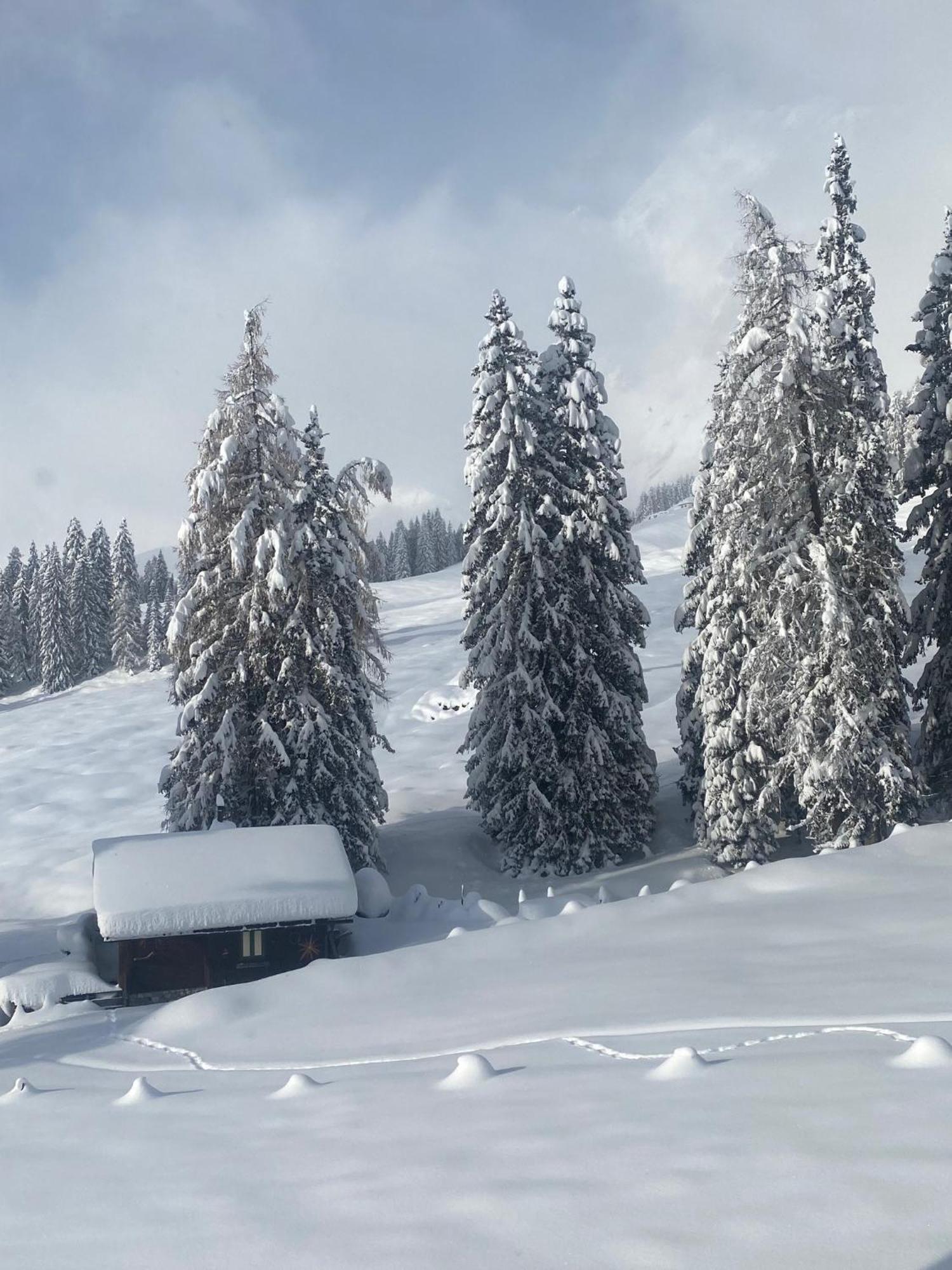 Appartementhaus Hochkoenig - Panoramablick Mühlbach am Hochkönig 외부 사진